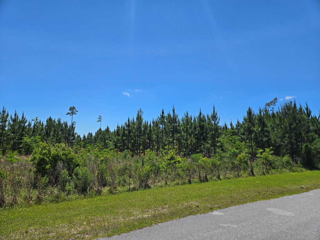 110 Wide Water Cir, 32465