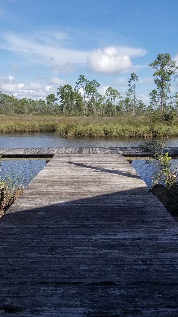 110 Wide Water Cir, 32465