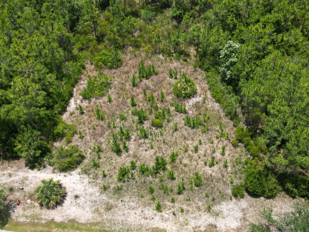 30 Shallow Reed Dr, Port St. Joe 32456