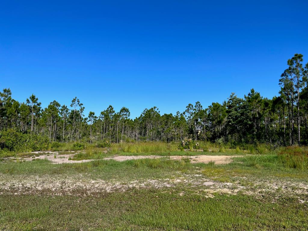 30 Shallow Reed Dr, Port St. Joe 32456