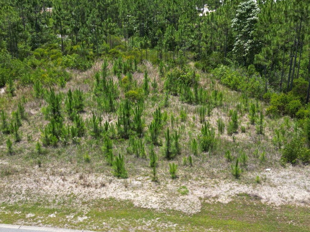 30 Shallow Reed Dr, Port St. Joe 32456