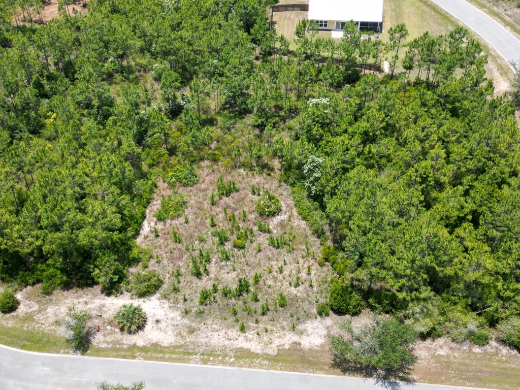 30 Shallow Reed Dr, Port St. Joe 32456