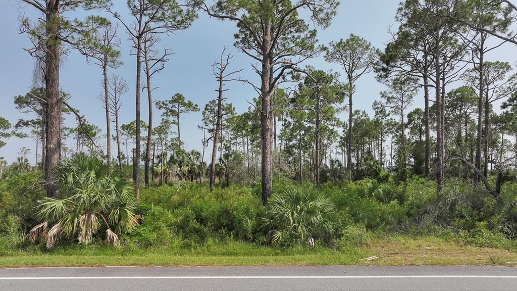 Lot 24 Cr 30-a, Port St. Joe 32456