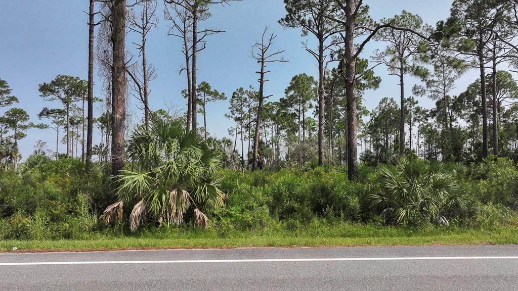 Lot 24 Cr 30-a, Port St. Joe 32456