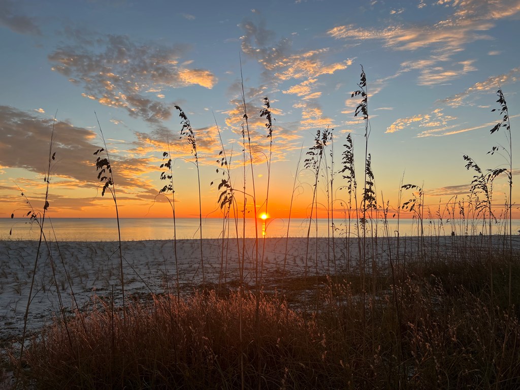 Lot 1 Palmetto Dr, Port St. Joe 32456