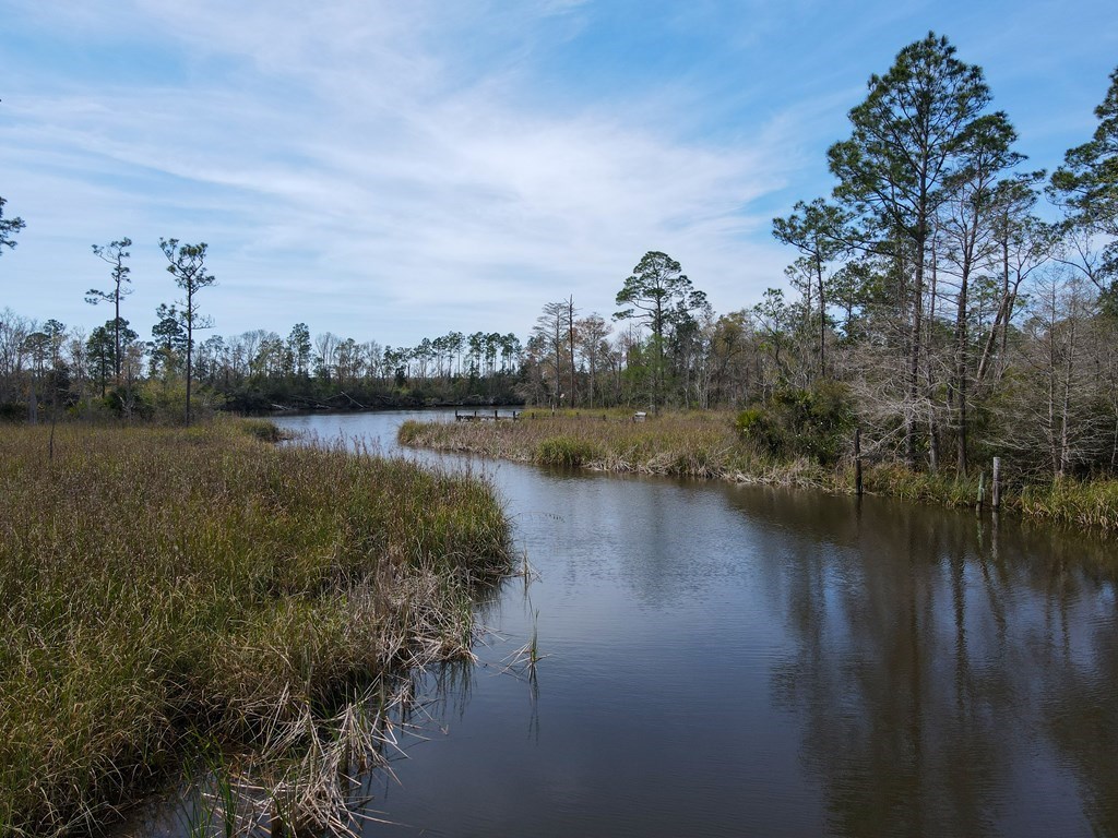 TBD Gardenia St, 32465