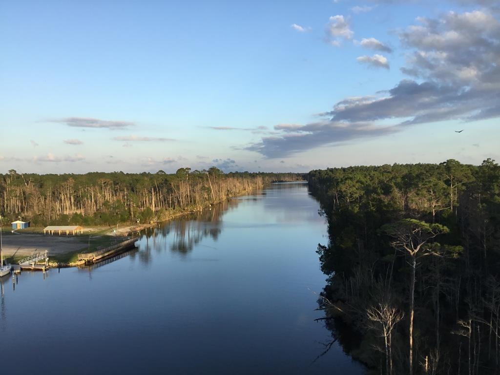 TBD Gardenia St, 32465