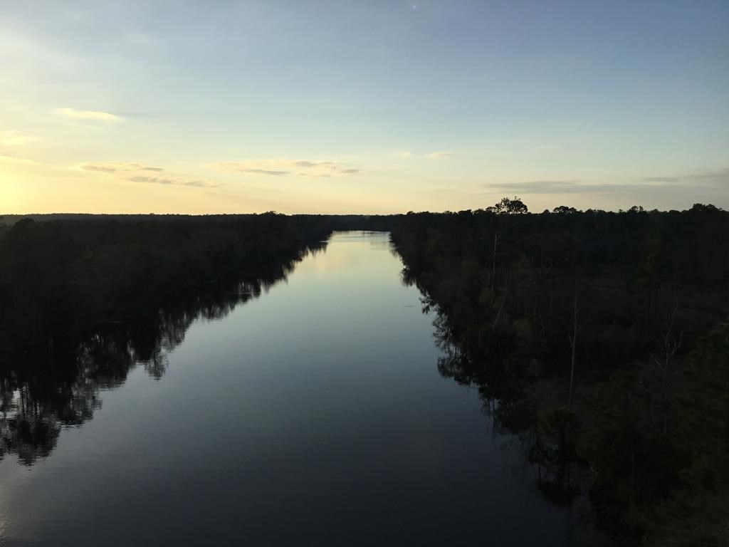 TBD Gardenia St, 32465