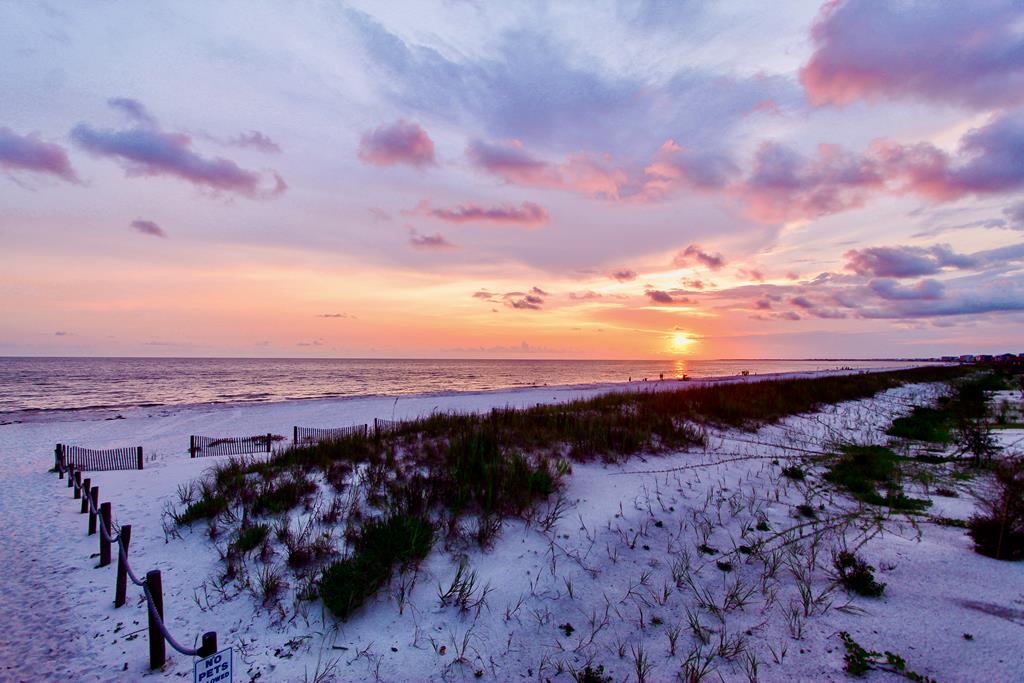 1303 Hwy 98, 32456