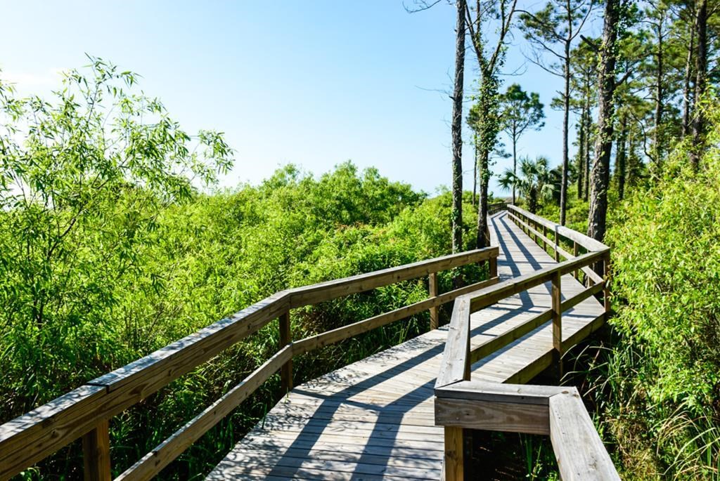 225 Cord Grass Way, Port St. Joe 32456