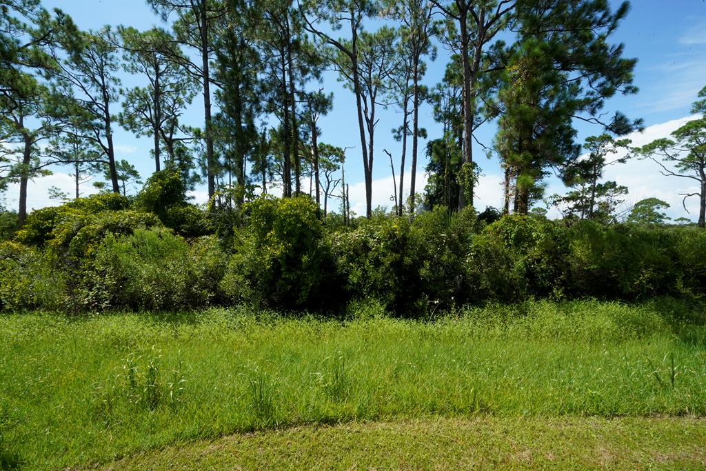 TBD Cape San Blas Rd, Port St. Joe 32456