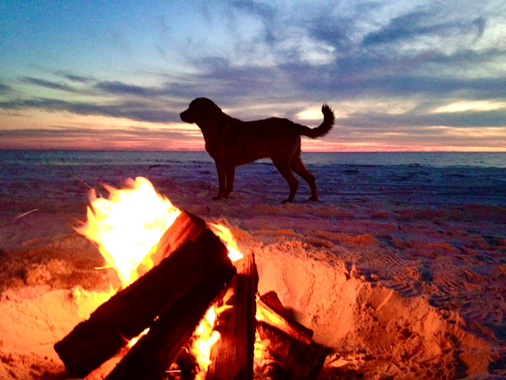 TBD Cape San Blas Rd, Port St. Joe 32456