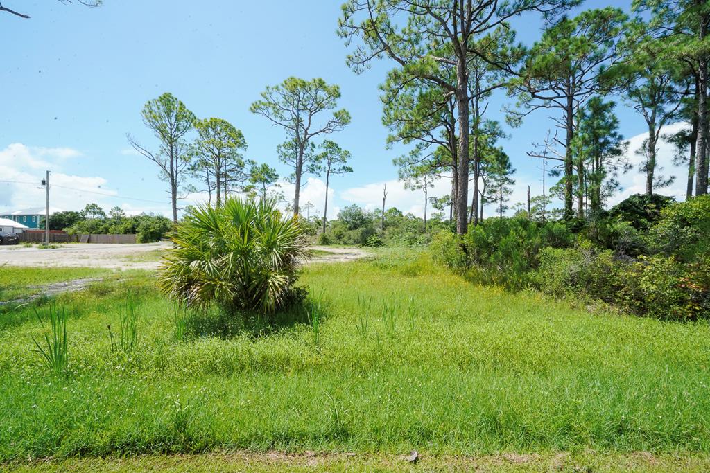 TBD Cape San Blas Rd, Port St. Joe 32456