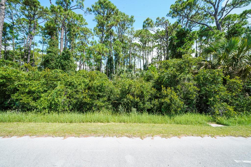 TBD Cape San Blas Rd, Port St. Joe 32456