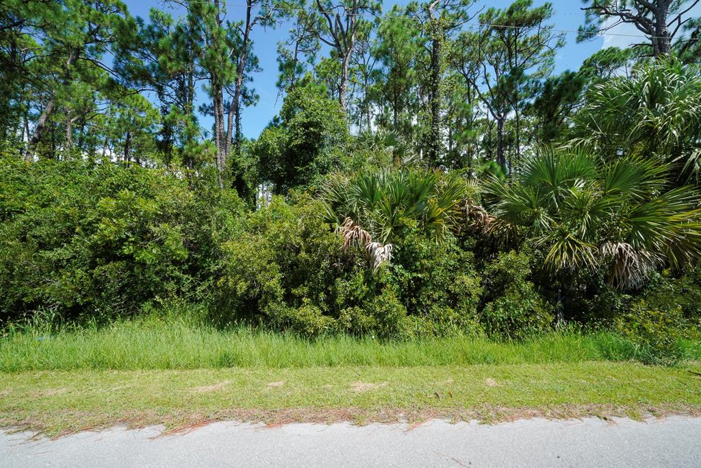 TBD Cape San Blas Rd, Port St. Joe 32456