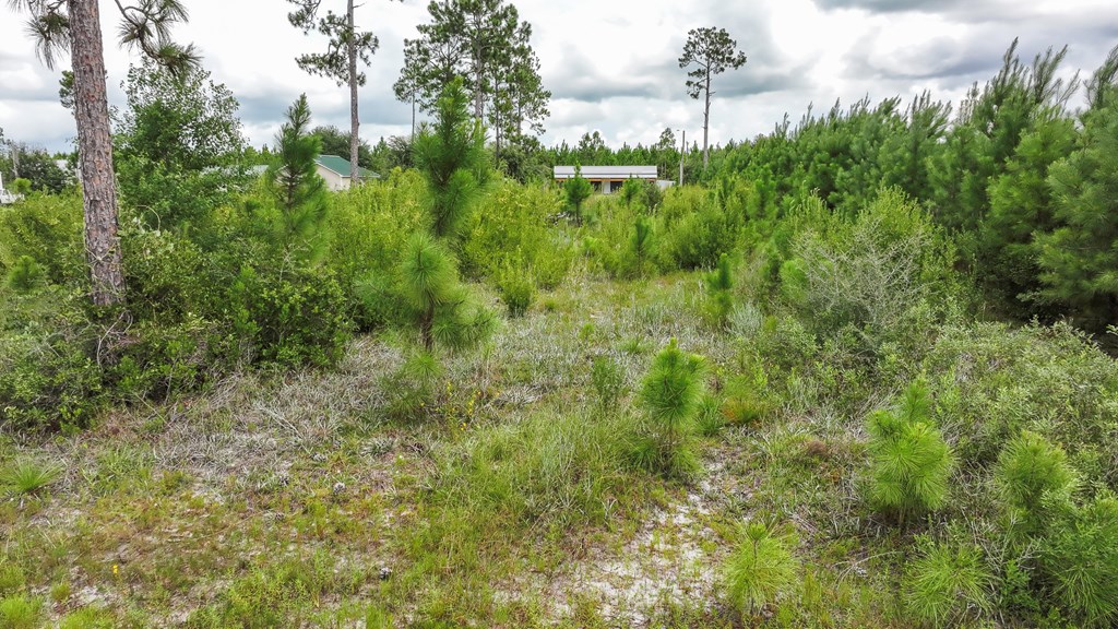 Lot 21 Chellsey St, 32465