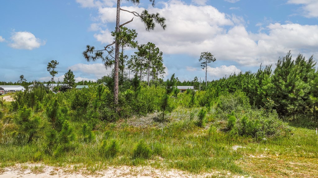 Lot 21 Chellsey St, 32465