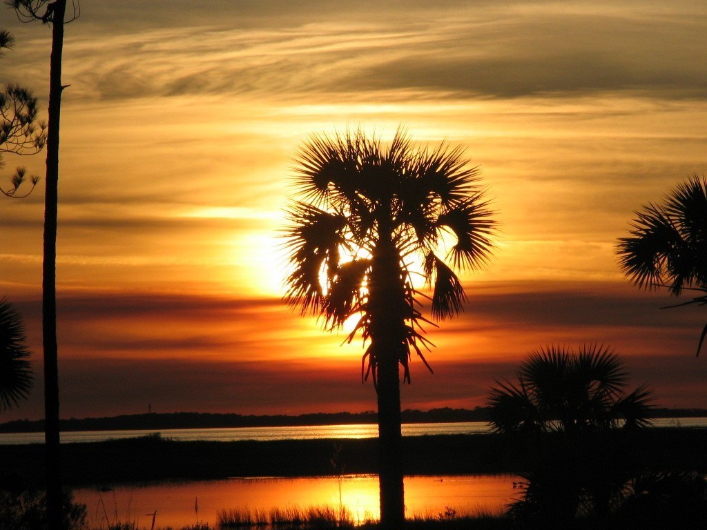 Lot 9 Jones Homestead Rd, Port St. Joe 32456