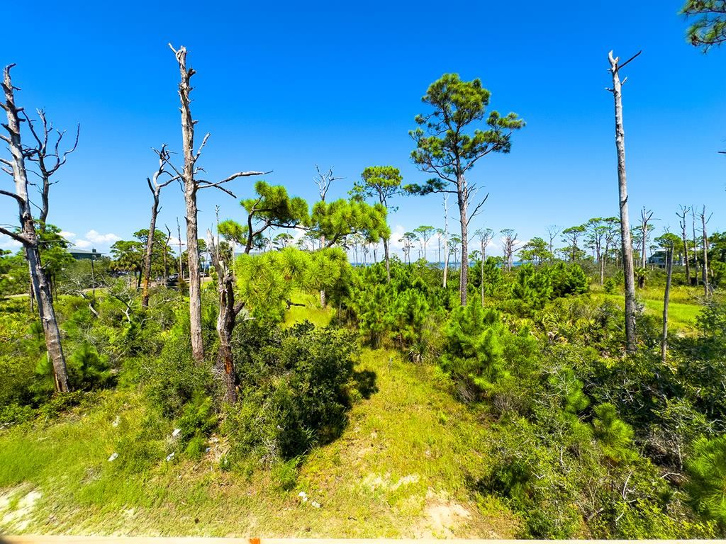 6274 Cape San Blas Rd