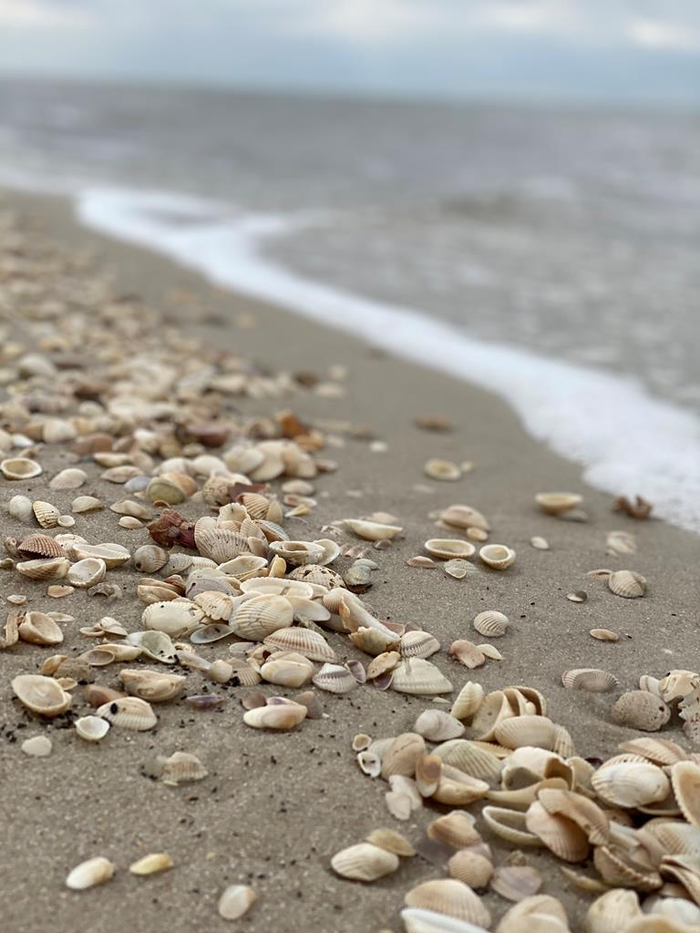 Lot 3 Sea Haven Dr Lot 3, Port St. Joe 32456 Unit: Lot 3