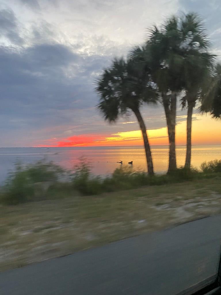 182 Palm Breeze Way, Port St. Joe 32456