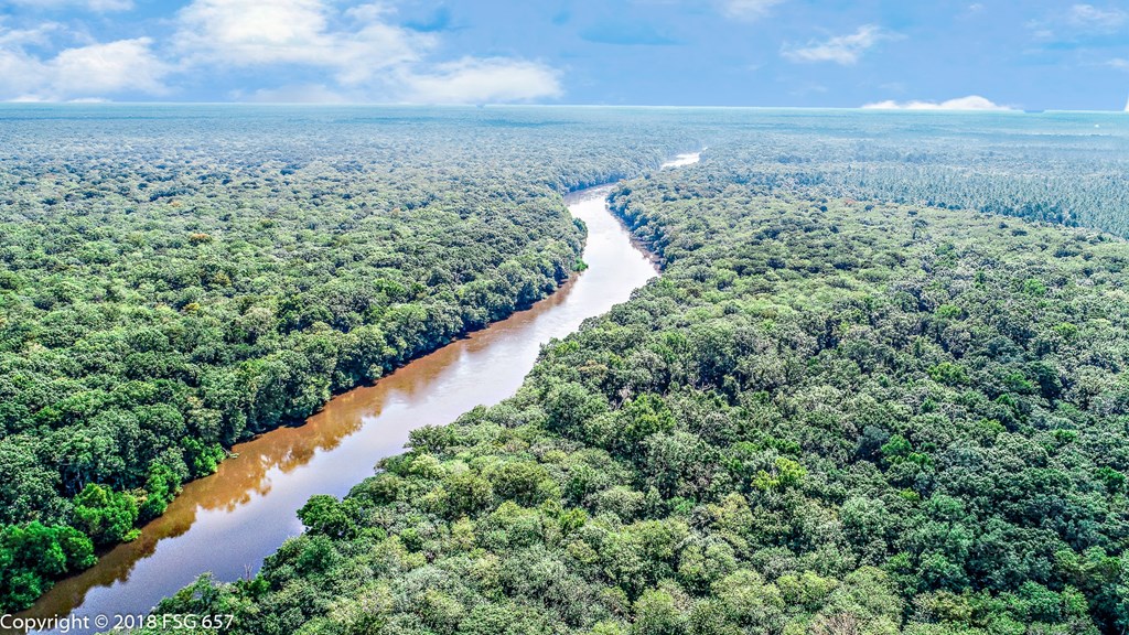 1161 E River Rd, 32465