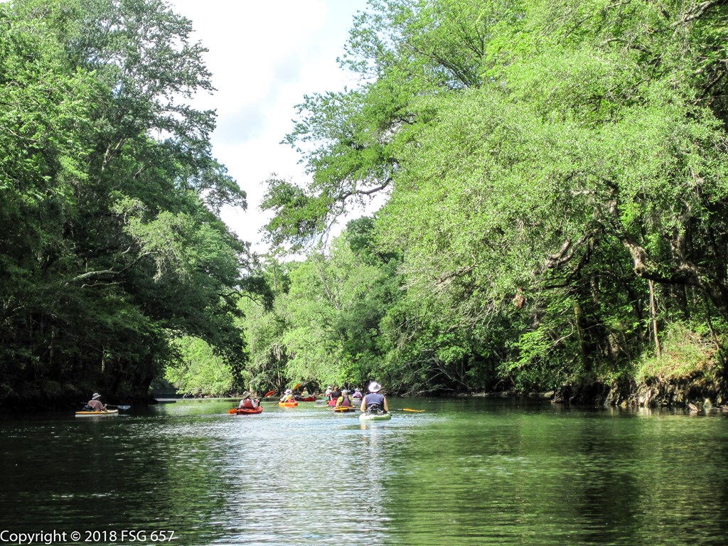 1161 E River Rd, 32465