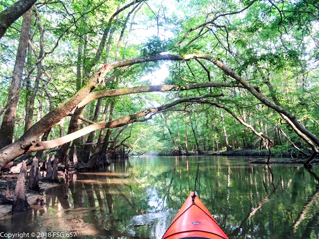 1161 E River Rd, 32465