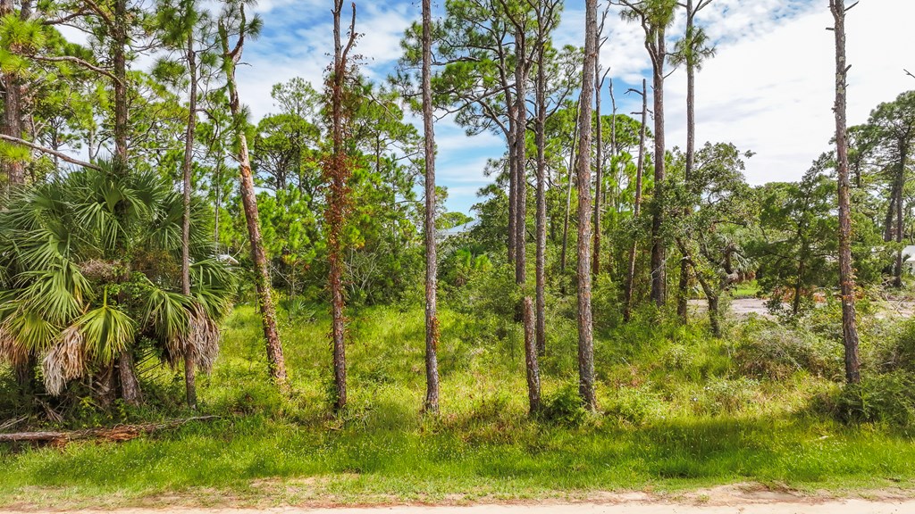 1028 Porter St, St. George Island 32328