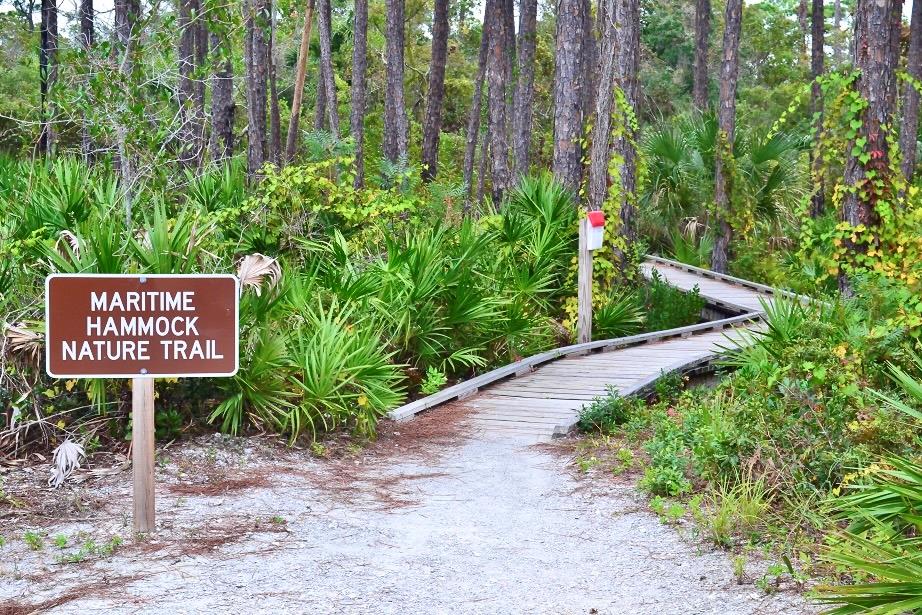 122 Summer House Ln, Port St. Joe 32456