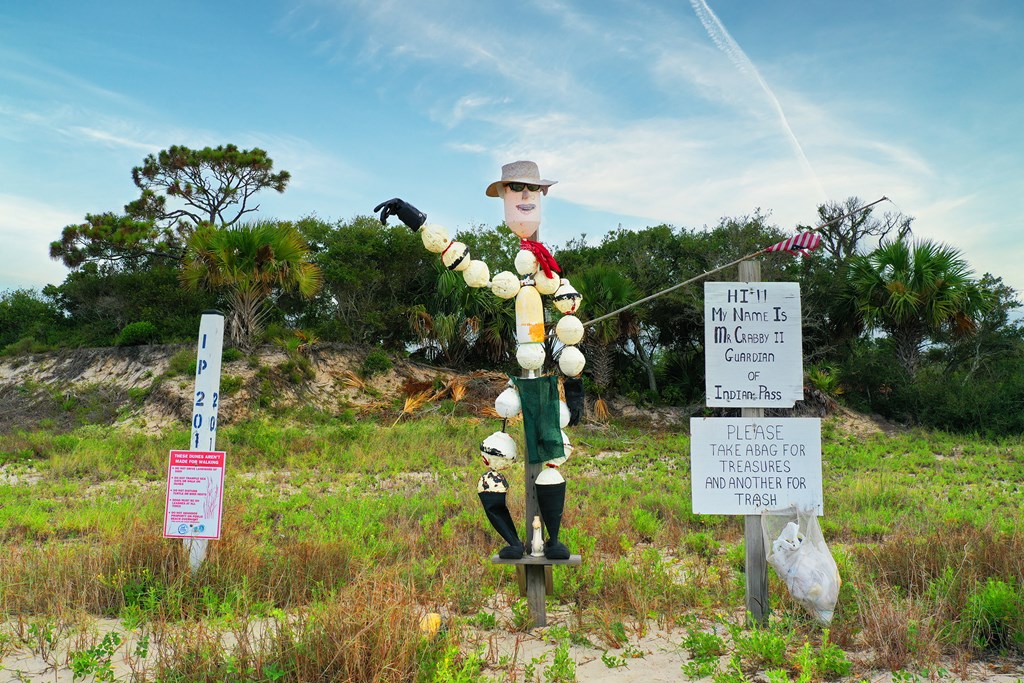 Parcel D Indian Pass Rd, Port St. Joe 32456