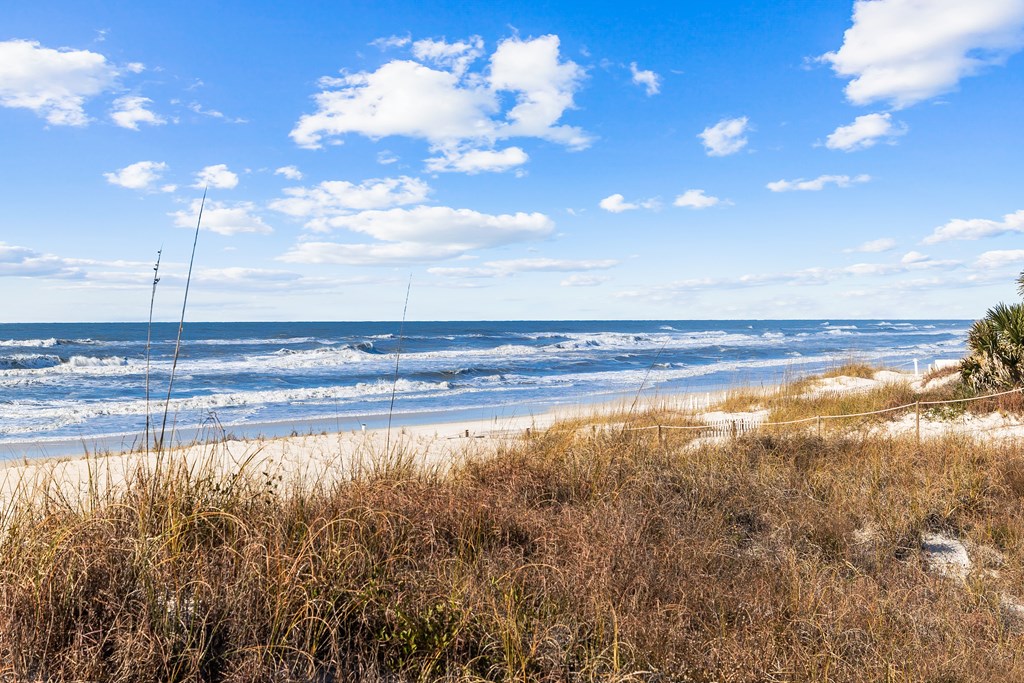 149 Sapodilla Ln, 32456