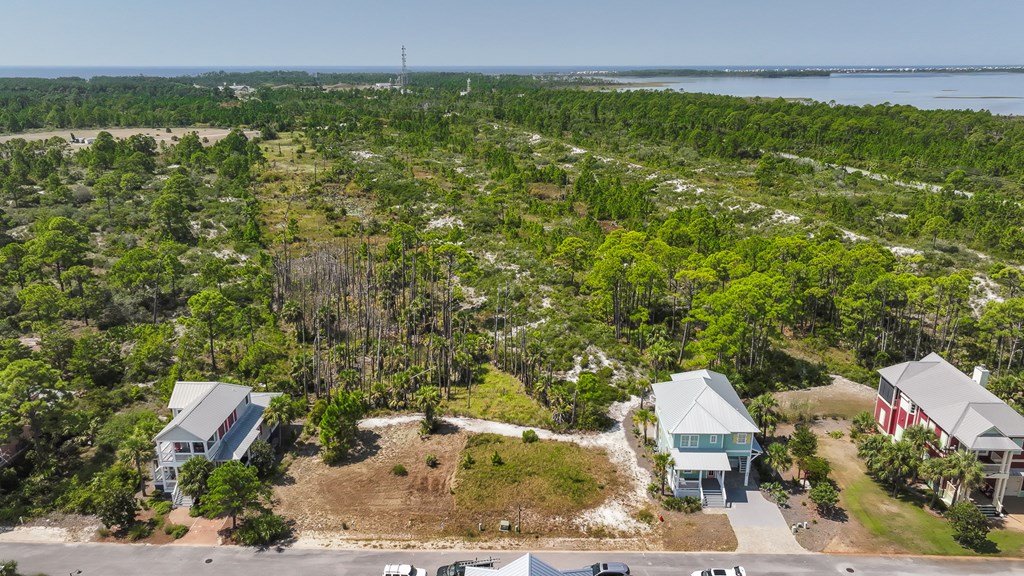 251 Cord Grass Way, Port St. Joe 32456
