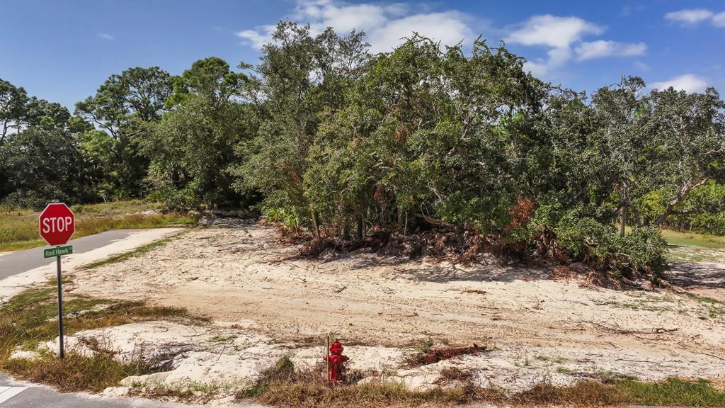 Lot 11 Sea Mist Dr, Port St. Joe 32456
