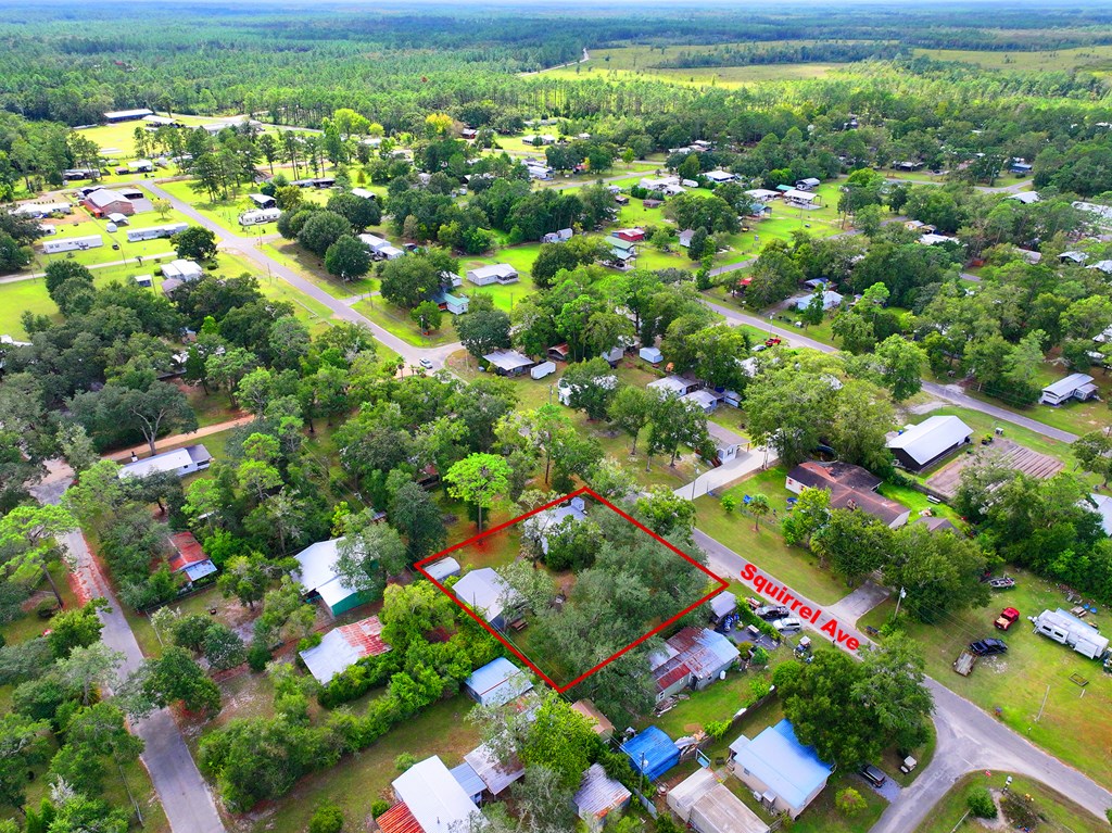 340 S Squirrel Ave, 32465
