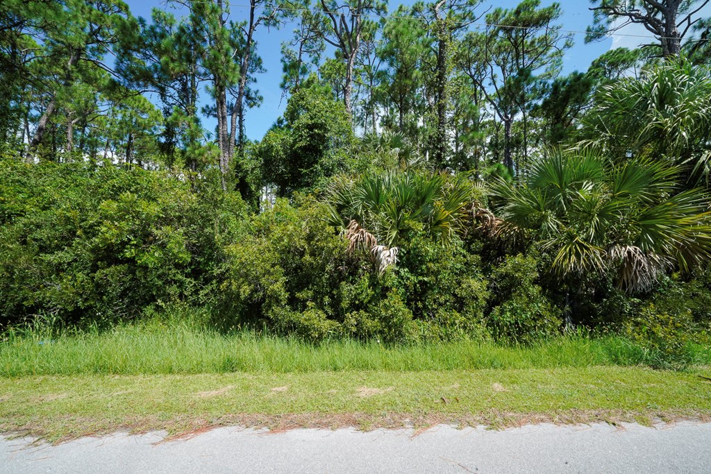 TBD Cape San Blas Rd, Port St. Joe 32456