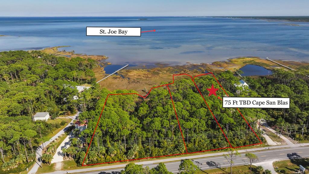 TBD Cape San Blas Rd, Port St. Joe 32456