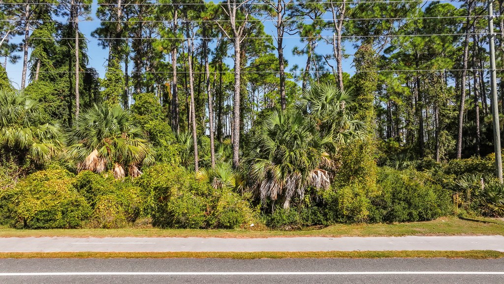 TBD Cape San Blas Rd, Port St. Joe 32456