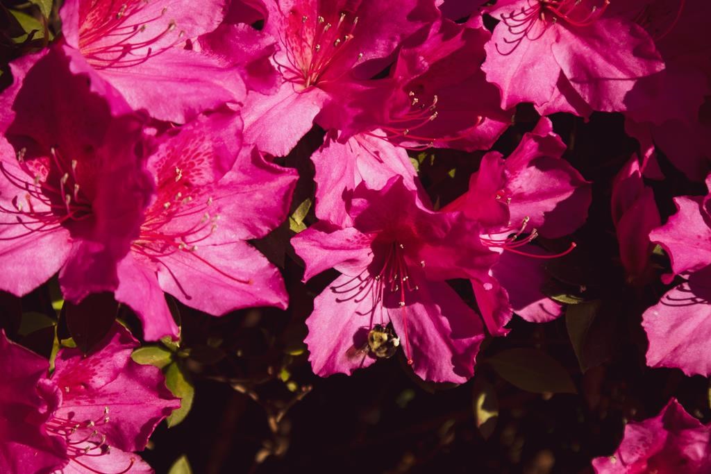 6641 Cedar St, Wewahitchka 32465