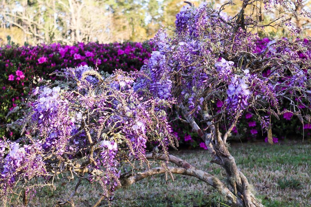 6641 Cedar St, Wewahitchka 32465