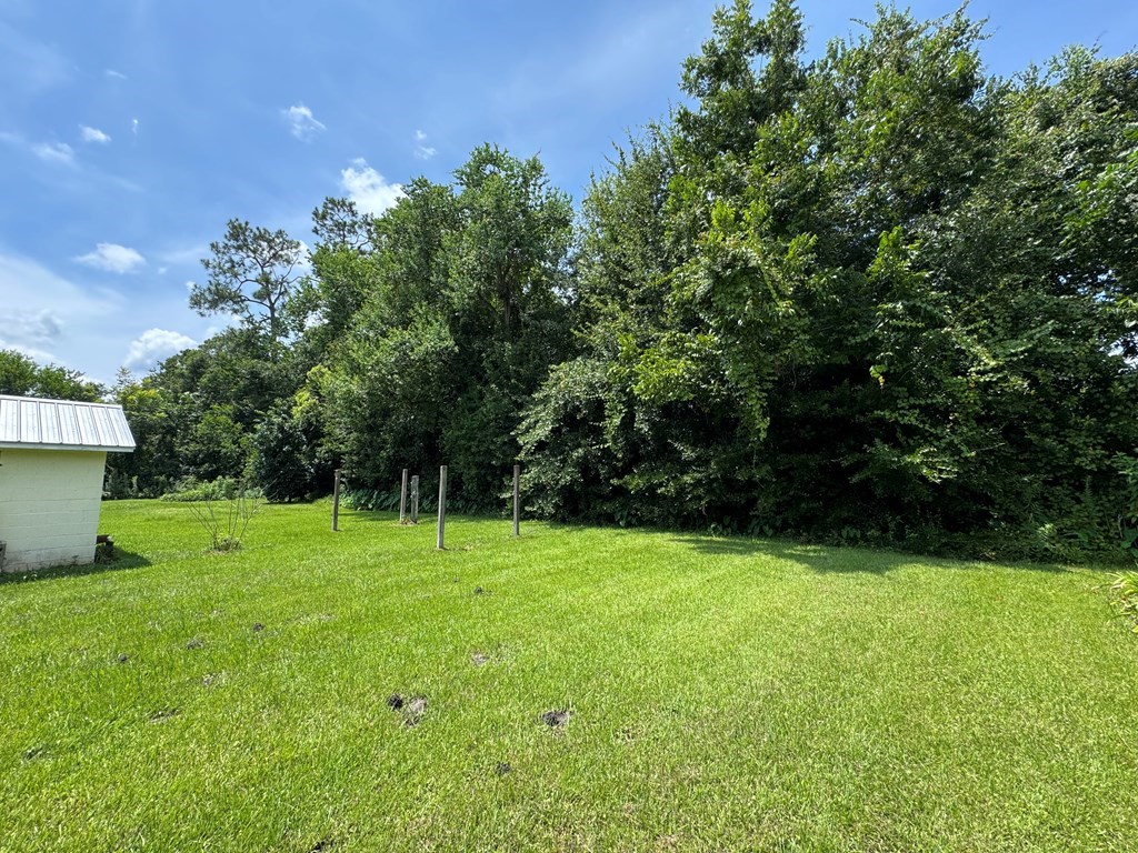 6641 Cedar St, Wewahitchka 32465