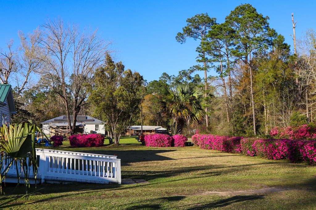 6641 Cedar St, Wewahitchka 32465