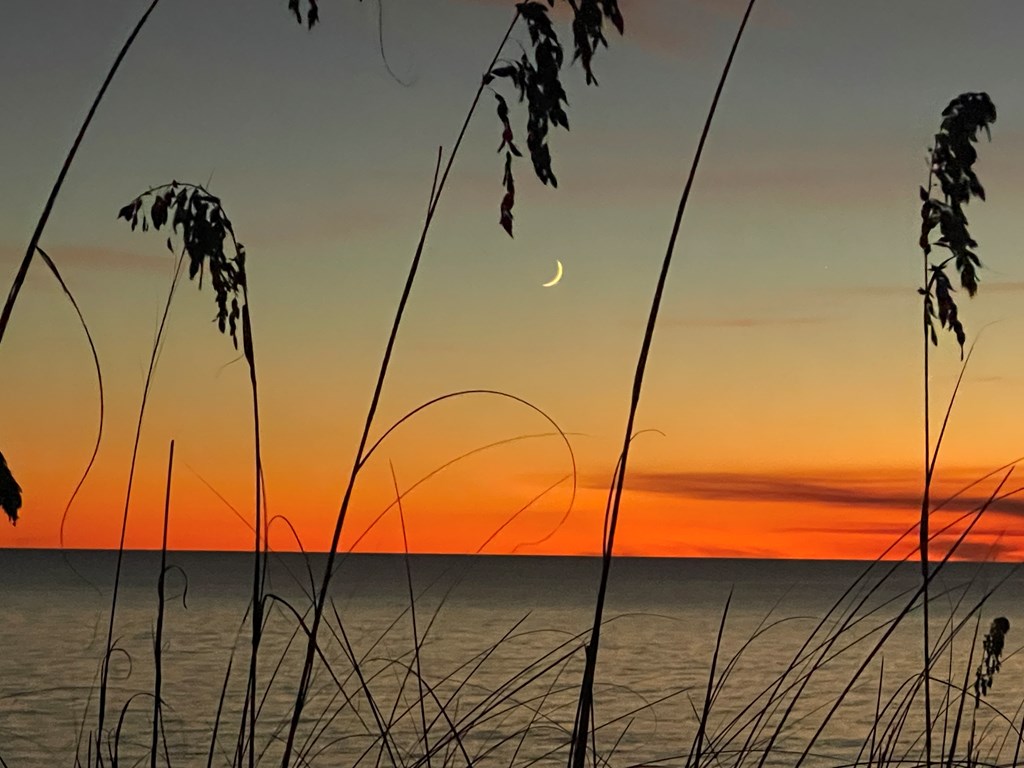 7070 Cape San Blas Rd, Port St. Joe 32456