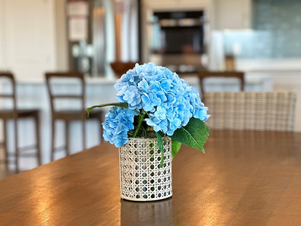 108 W Sand Dollar Way, 32456