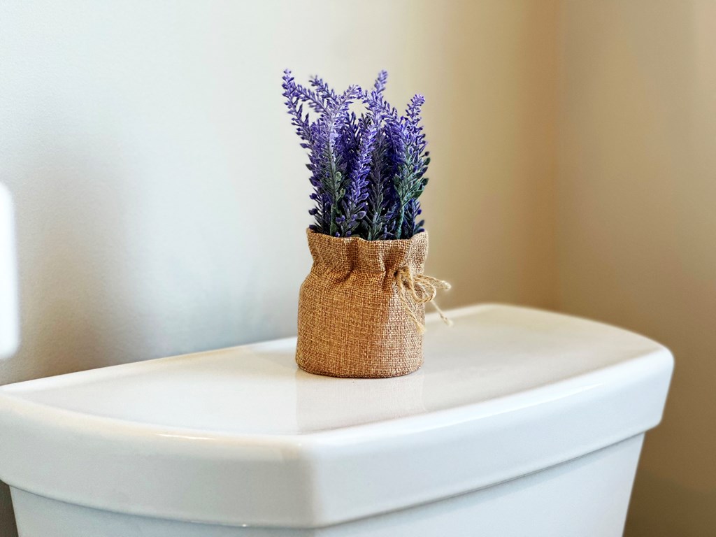 108 W Sand Dollar Way, 32456