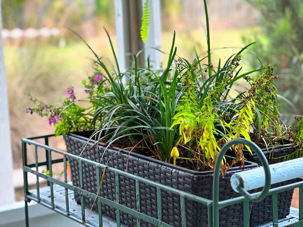 103 Mimosa Ave, Port St. Joe 32456