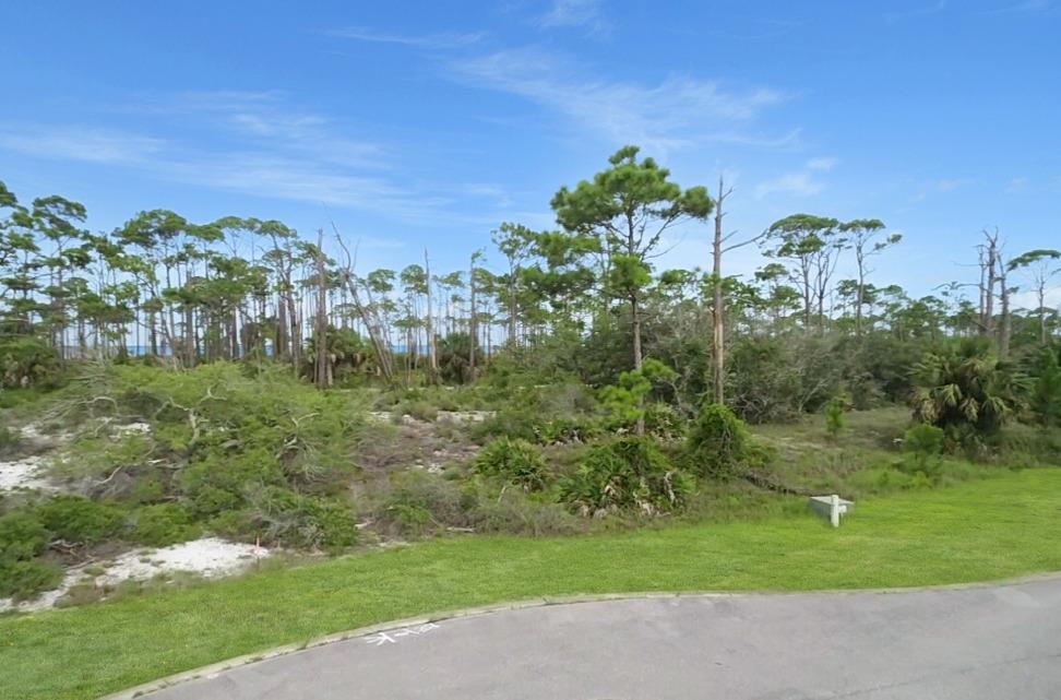 135 Hemmingway Cr, Port St. Joe 32456