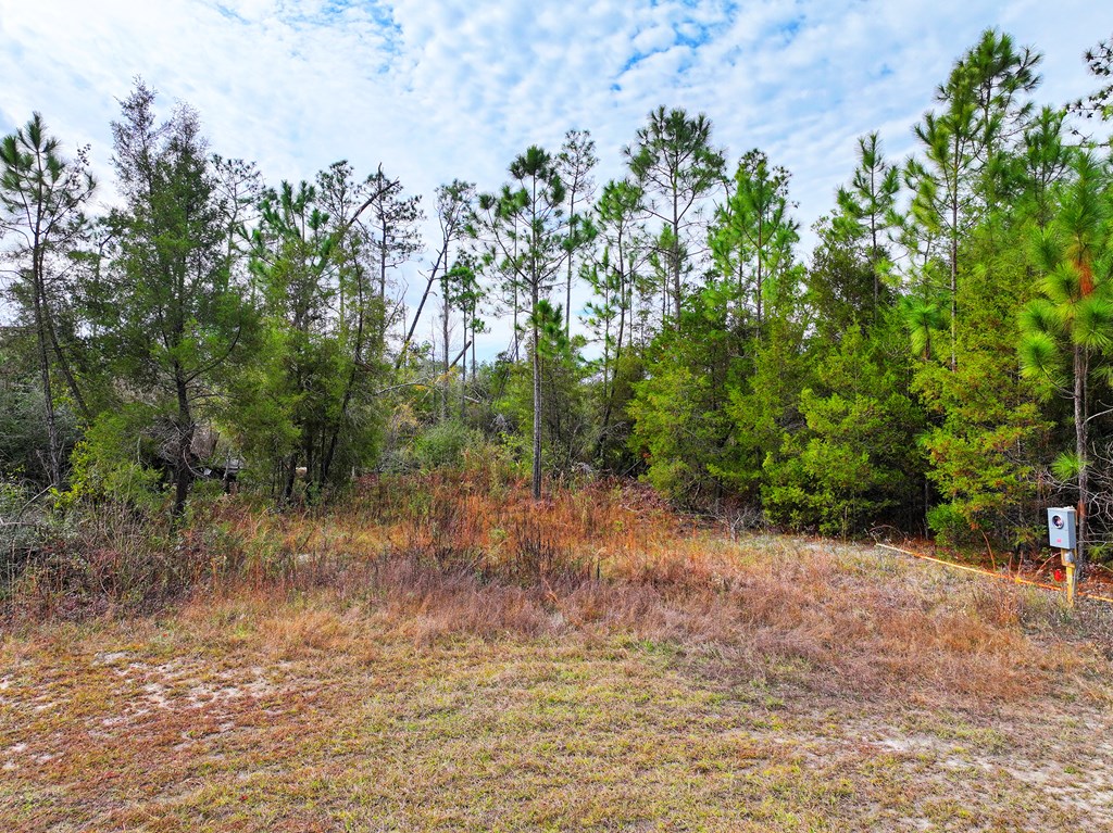 491 Spruce Ave Unit 3, 32465 Unit: Unit 3