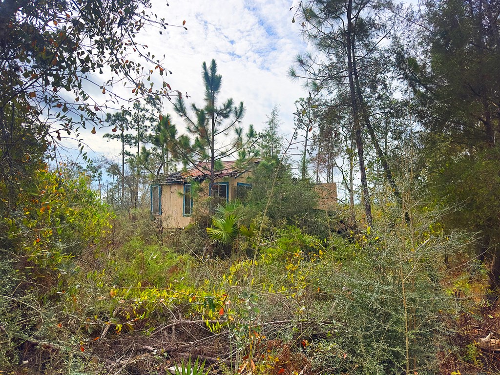 491 Spruce Ave Unit 3, 32465 Unit: Unit 3