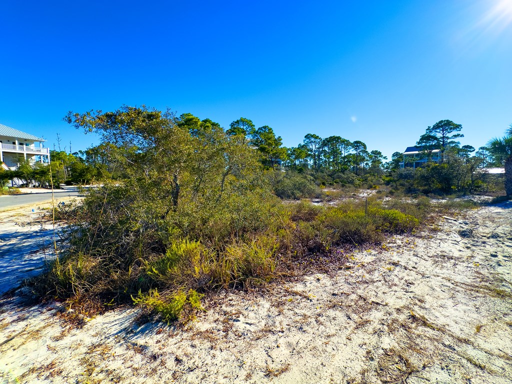 302 Windmark Way, Port St. Joe 32456